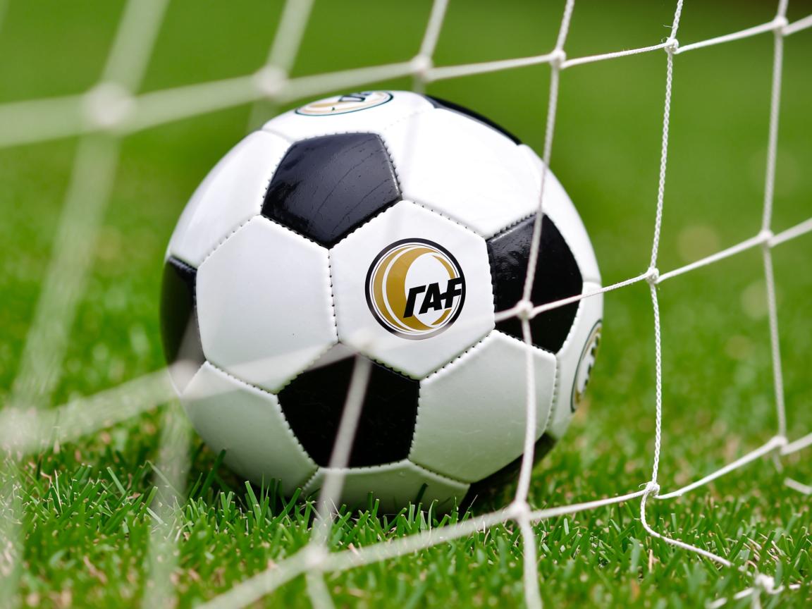 爱游戏入口-国际乒联混合团体世界杯：加拿大队如何展现强大团队协作，加拿大乒乓球国家队